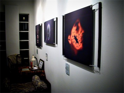 Cult of Ego | Installation Photo — Reverse side, side shot again, showing depth in the suspension. Just some perspective to remember what this installation looked like.