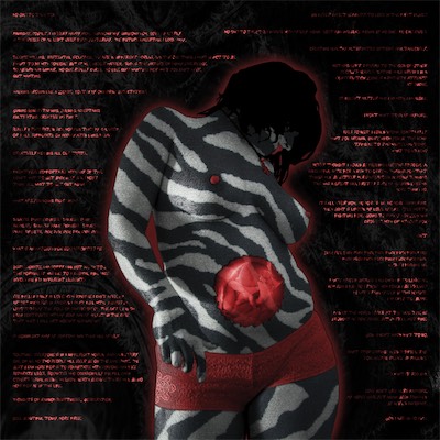Transparency — She was a massive proponent for inappropriate levels of transparency that gave me access to pretty much all of her personal emails. At one point, when things were going strange, I made this piece. She was also very much into the idea of basically being pregnant always. So this piece, which I had printed out for a gallery show at four by four feet, has her textured in a zebra pattern with a bunch of quotes of her own, and a baby in her womb. Kind of an intense piece. She posed in front of it when I showed it.