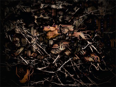 The Artifice and the Dream — A composite of technology and nature, a bunch of roots and plant matter, all twisted and woven, growing over a circuit board. Just showing the dichotomy between the natural and the created and artificial. I'd like to do a newer version of this.