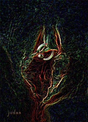 Kitty | Glowing Edges — An easy and fun effect in Photoshop. The old standard glowing edges. Definitely obscures what we're looking at. A bit of a distortion in the upscale, but it works. Kind of looks like an abstract painting. Even though the piercing ring is kind of obvious in this one.